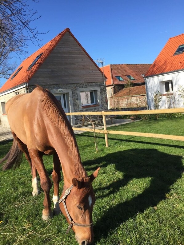 Overnatningsstedets område