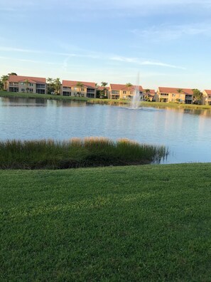 Picturesque View