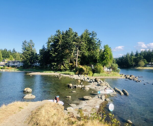 Your paradise in front of water front condo.