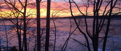 So many wonderful sunsets - eagles, red fox, wild turkey, deer 