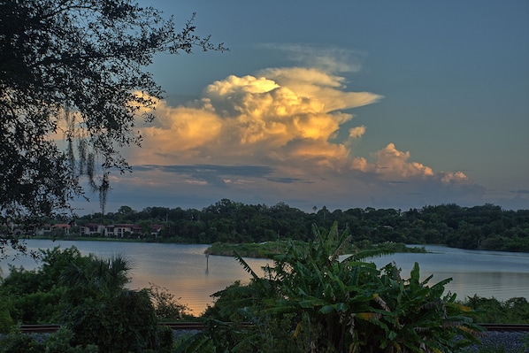 View of nearby Lake from the Safety Harbor Bird House