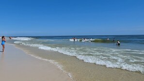 Strand