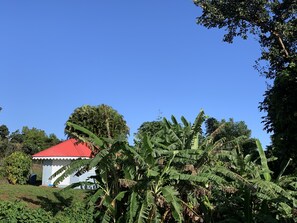 Boendeområde