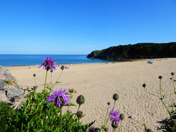 Barafundle Bay is one of our local award winning beaches.
