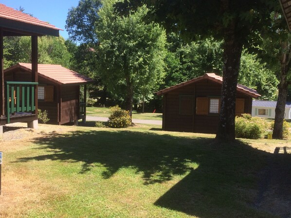 Trädgård