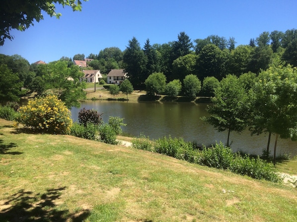 Lake view