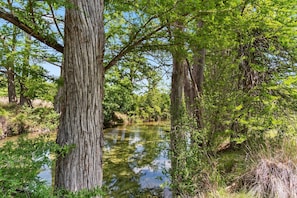 Shaded creekside escape with crystal-clear waters-ideal for a peaceful nature walk or quiet afternoon by the water.