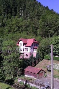  Ferienwohnung in der alten Villa Lierbach  Allerheiligen-Wasserfälle Oppenau