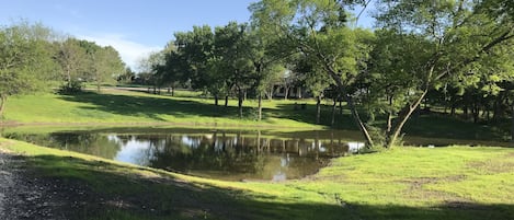 The road to the house wraps around the pond