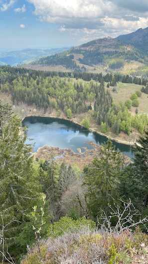 Oklassificerad bild, 4 av 50, knapp