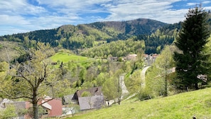 Frühling in Wambach 