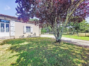 Blatt, Ast, Zuhause, Rasen, Frühling, Schatten, Garten, Gehölz, Hütte, Zweig