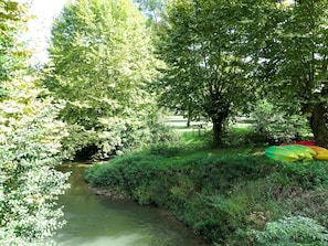 L'Eau, Plante, Communauté Des Plantes, Vert, Arbre, Paysage Naturel, Cours D'Eau, Herbe, Banque