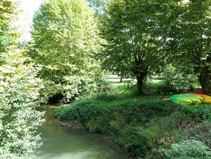 Water, Plant, Plant Community, Green, Tree, Natural Landscape, Watercourse, Grass, Bank