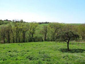 Himmel, Pflanze, Grün, Natürliche Landschaft, Baum, Gehölz, Landwirtschaft, Landschaft, Einfach, Ground