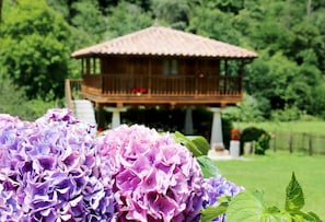 Garden,Decorative detail,Garden view