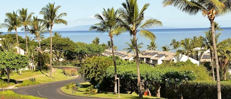 Beautiful Maui Kamaole - ideally located in South Maui across the street from Kamaole Beach Park III