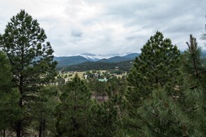 Deck Views