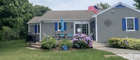 hydrangeas in bloom! 