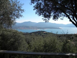 view from the terrace