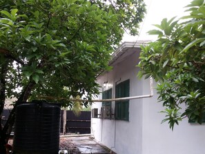 South-east View of rear of The Bungalow surrounded by Avocado trees.