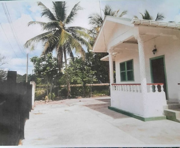 Entrance to The Bungalow with coconut palm in the background.