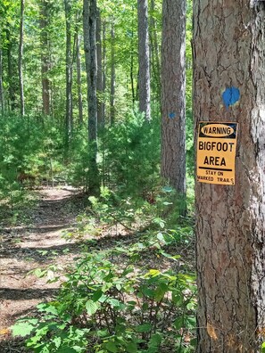 Fairview Michigan,  Bigfoot capital of the Great Lakes region. 😳