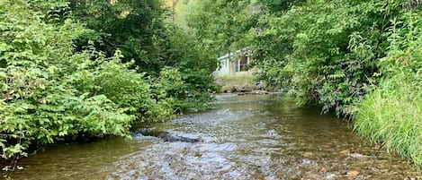 Fly Fish right on the property!