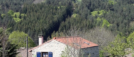 Pflanze, Eigentum, Pflanzengemeinschaft, Ökoregion, Himmel, Natürliche Landschaft, Gebäude, Baum, Grundstueck, Vegetation