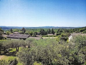 Arbre, Végétation, Arbuste, Lot Terre, Zone Rurale, Prairie, Banlieue, Plantation, Village