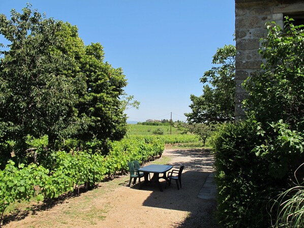 Plant, Sky, Property, Plant Community, Outdoor Bench, Leaf, Natural Landscape, Shade, Land Lot, Sunlight