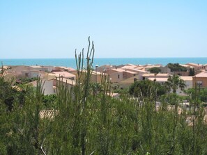 Vegetation, Graspflanze, Shrubland, Pflanze, Baum, Landschaft, Urlaub, Pflanzengemeinschaft, Meer, Grundstueck