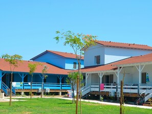 Himmel, Pflanze, Gebäude, Fenster, Schatten, Grundstueck, Haus, Hütte, Baum, Nachbarschaft