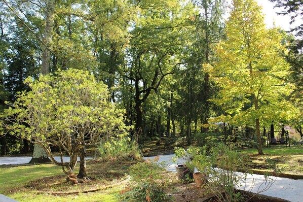 Baum, Natürliche Landschaft, Natur, Eigentum, Natürlichen Umgebung, Naturschutzgebiet, Gehölz, Biome, Pflanze, Wildnis