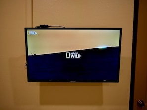 Televisión