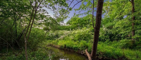 Overnatningsstedets område