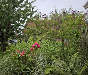 Gartenblick von der Terrasse