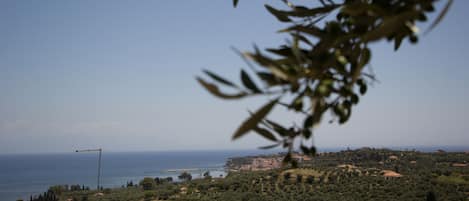 Vista dalla struttura