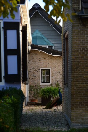 Exterior detail