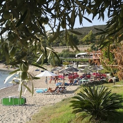 Strand