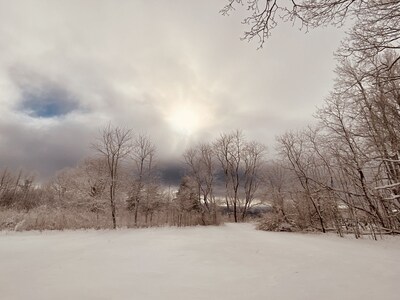 The Cabin of the Painted Bear close to all Mountain Adventures!!