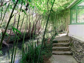 Nature, Vegetation, Green, Tree, Natural Environment, Nature Reserve, Water, Natural Landscape, Forest, Plant