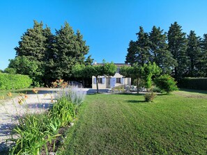 Plante, Ciel, Communauté Des Plantes, La Nature, Arbre, Paysage Naturel, Herbe, Suppression Des Plantes Ligneuses, Arbuste, Couverture De Sol