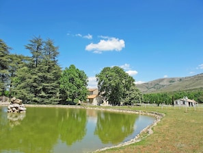 L'Eau, Nuage, Ciel, Ressources En Eau, Plante, Paysage Naturel, Arbre, Montagne, Lac, Lot Terre