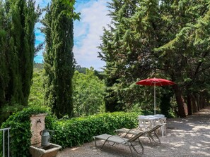 Végétation, Arbre, Propriété, Jardin, Paysage Naturel, Arbuste, Botanique, Biome, Jardin Botanique, Herbe