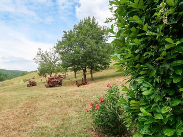 Paysage Naturel, Végétation, Arbre, Vert, Environnement Naturel, Propriété, Lot Terre, Réserve Naturelle, Herbe, Région Sauvage