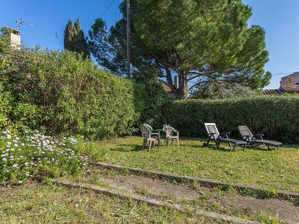 Green, Leaf, Vegetation, Shrub, Garden, Groundcover, Shade, Woody Plant, Lawn, Backyard