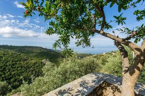 Garden View Over the Sea
Tranquility and nature at your doorstep.