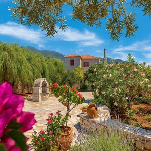 Exterior view in the beautiful garden