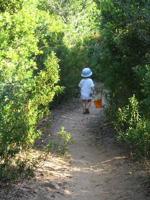 sur le chemin de la plage...